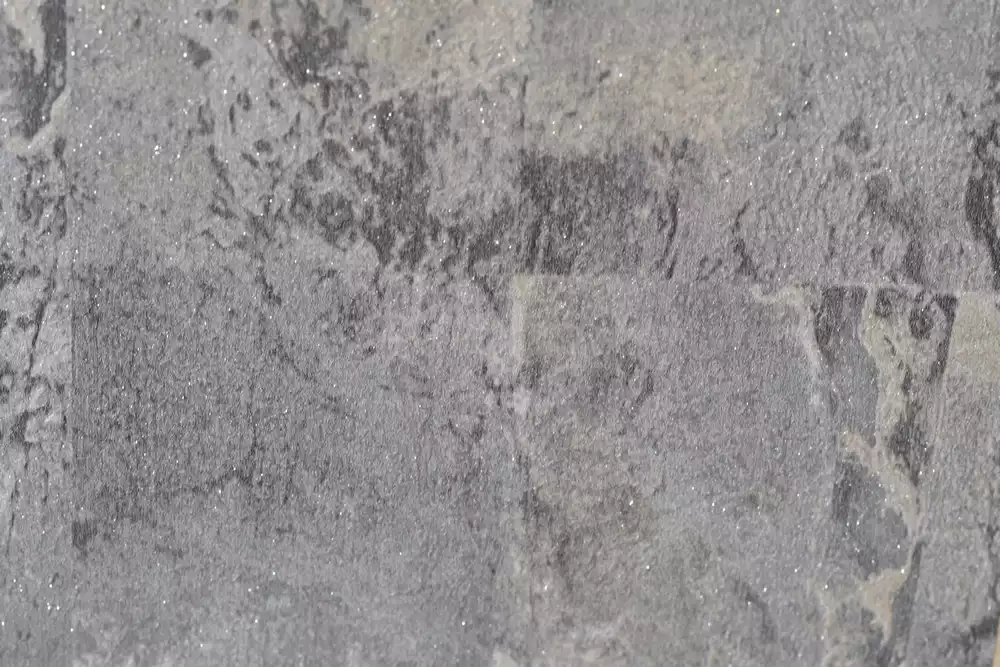 DOROTEA-20453 (2) (Copy)