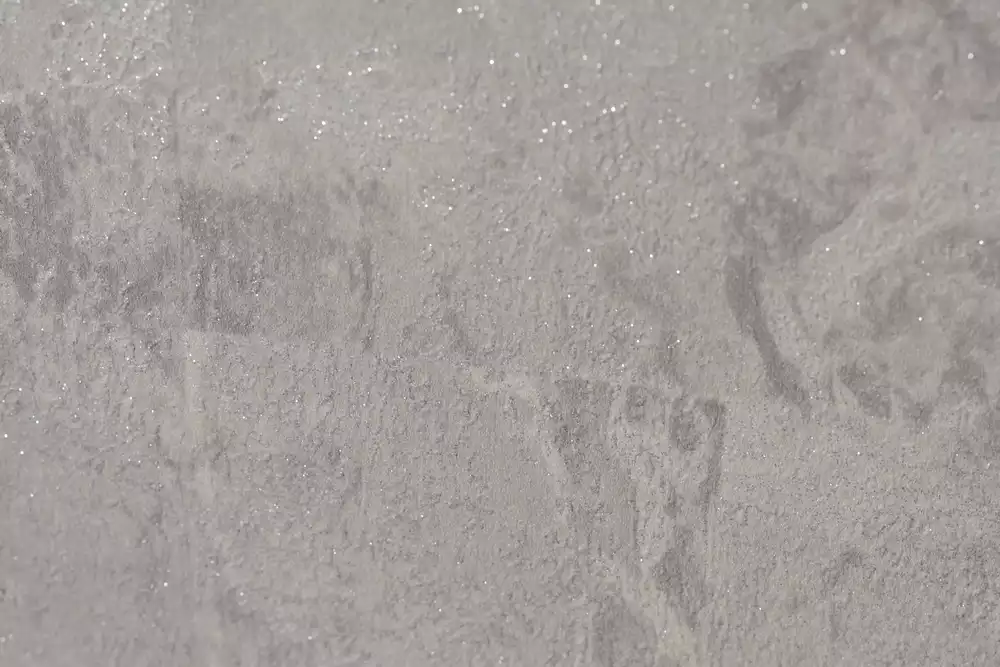 DOROTEA-20455 (2) (Copy)