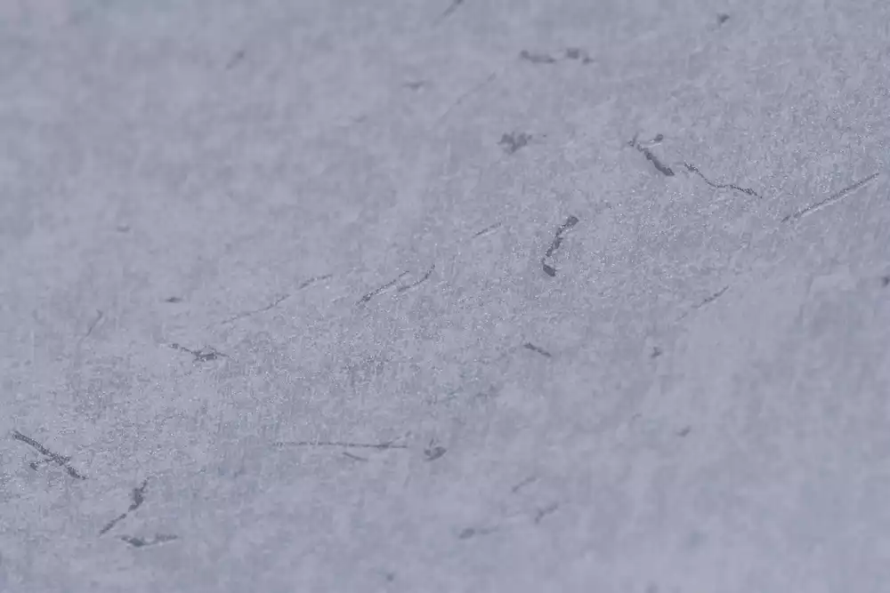 SHAN-PM20304-2 (Copy)