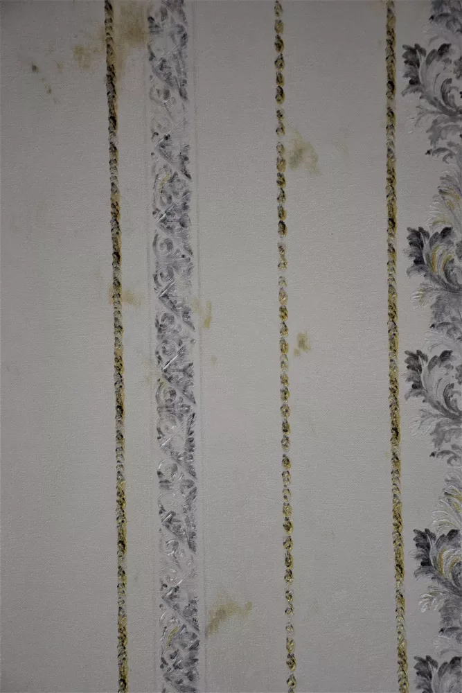 CASA-PM15711- (Copy)