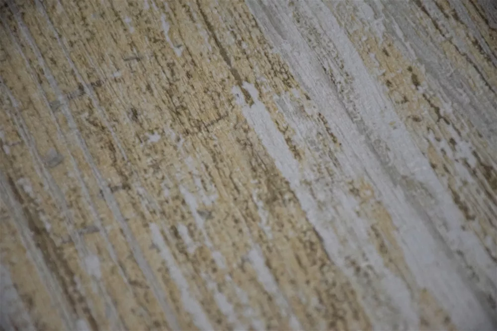 CASA-PM15729-2 (Copy)