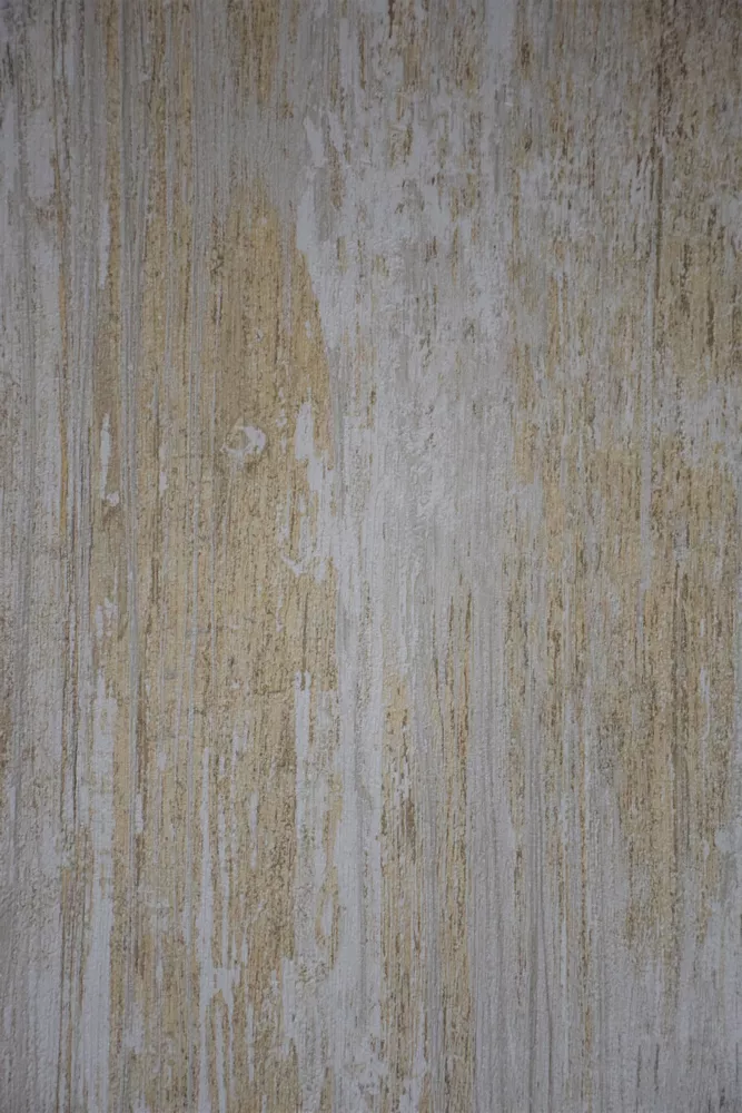 CASA-PM15729- (Copy)