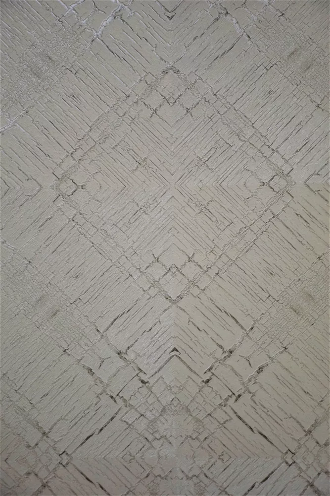 CASA-PM15752- (Copy)