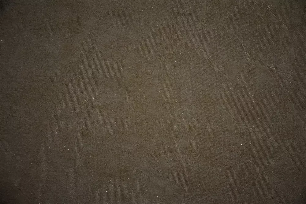 CASA-PM15766- (Copy)