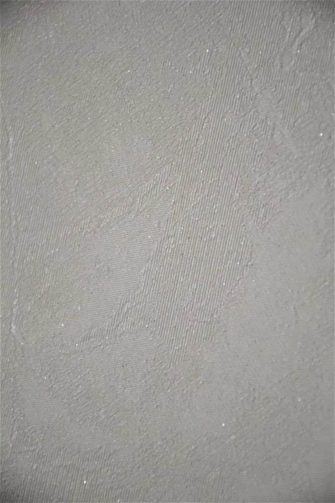 CASA-PM15777-2 (Copy)